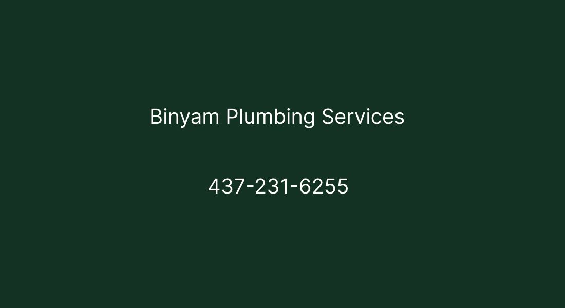 Binyam Plumbing Services